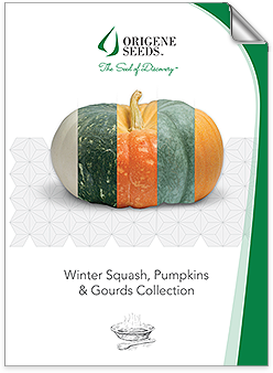 Winter Squash, Pumpkins & Gourds Collection